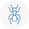Ant Removals In Eltham