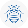 Bed Bug Extermination In Eltham