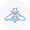 Bee Nest Removal Eltham