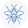 Eltham Hornet Nest Removals