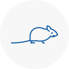 Mice Exterminators In Eltham