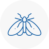 Moth Control Specialists In Eltham