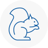 Eltham Rodent Removals